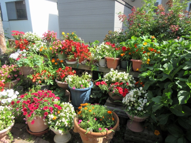 「いろはな」のお庭　　　　　